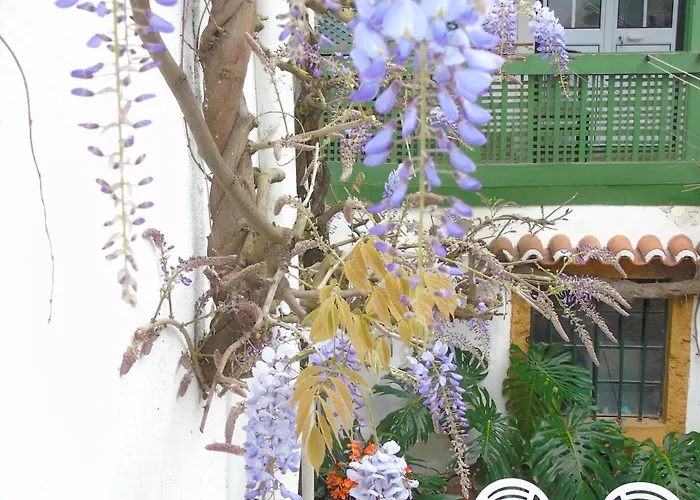 Uniao - 4* טומאר